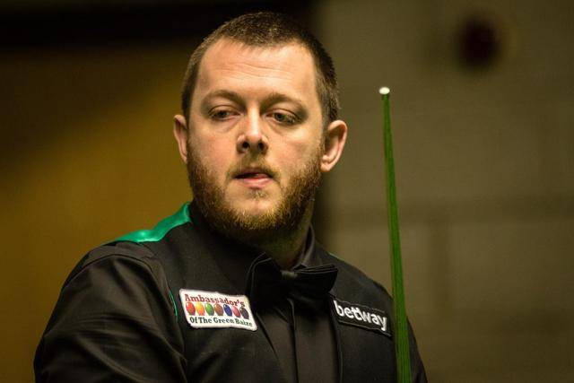 为他们彰显 为他们彰显